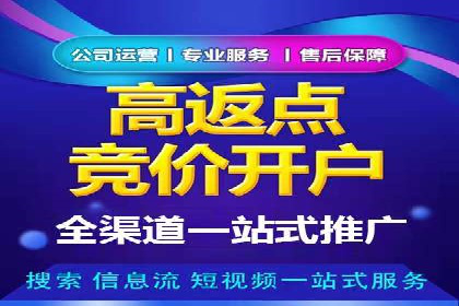 竞价广告与自然搜索的结合策略：XX网站的案例分析
